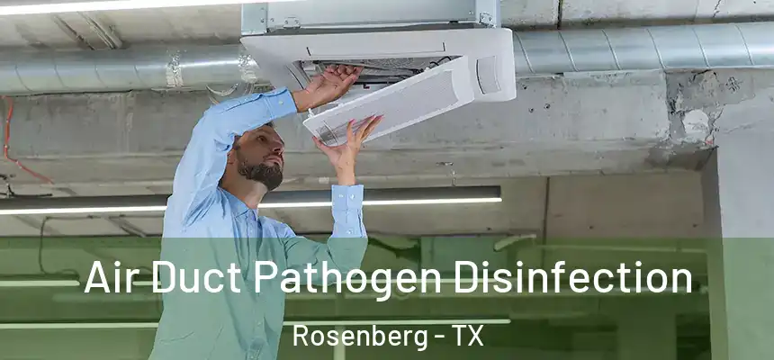  Air Duct Pathogen Disinfection Rosenberg - TX