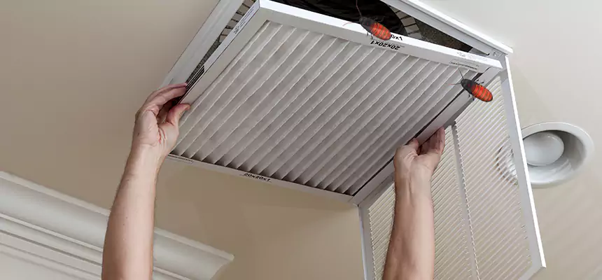 Preventive Cockroach-Proofing for Ducts in Rosenberg