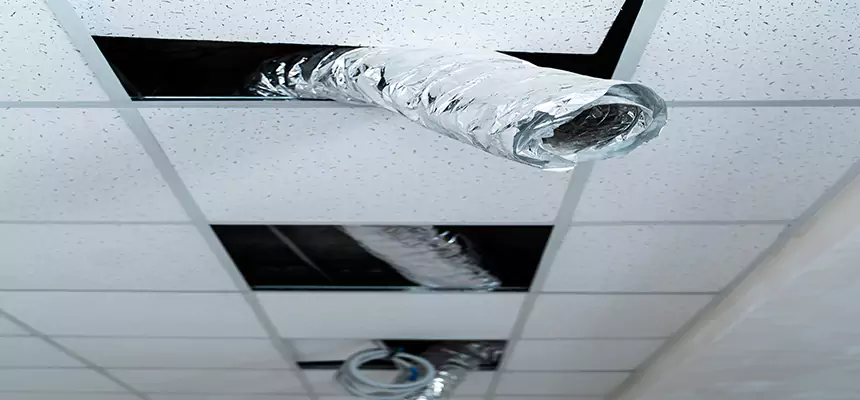 Affordable HVAC Sanitizing After Pest Removal in Rosenberg