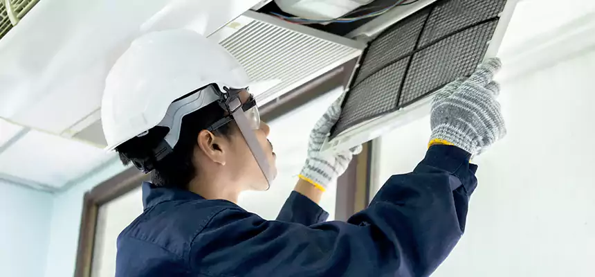 Our Mold & Mildew Removal from Air Ducts Services in Rosenberg, TX