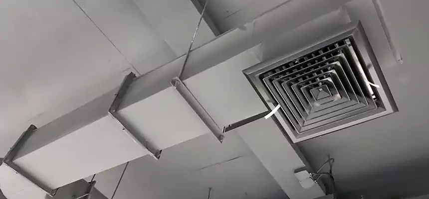 Our Pest Removal From Ducts Services in Rosenberg, TX