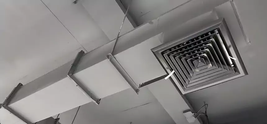 Our Rodent Droppings In Vents Services in Rosenberg, TX