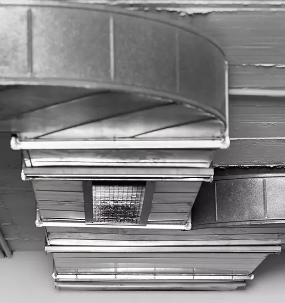 Professional Air Duct Pet Hair Removal in Rosenberg, TX