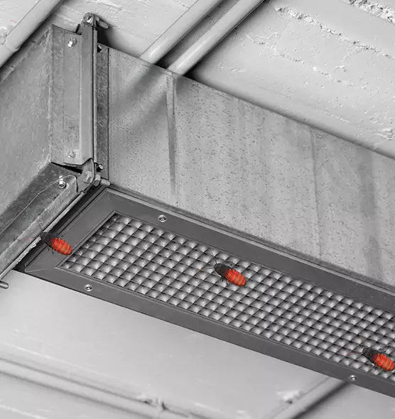 Affordable Insect Removal from Air Ducts in Rosenberg, TX