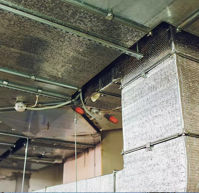 Why Homeowners & Businesses Trust Us in Rosenberg, TX?