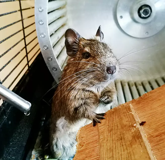 Why Homeowners & Businesses Trust Us Rosenberg, TX