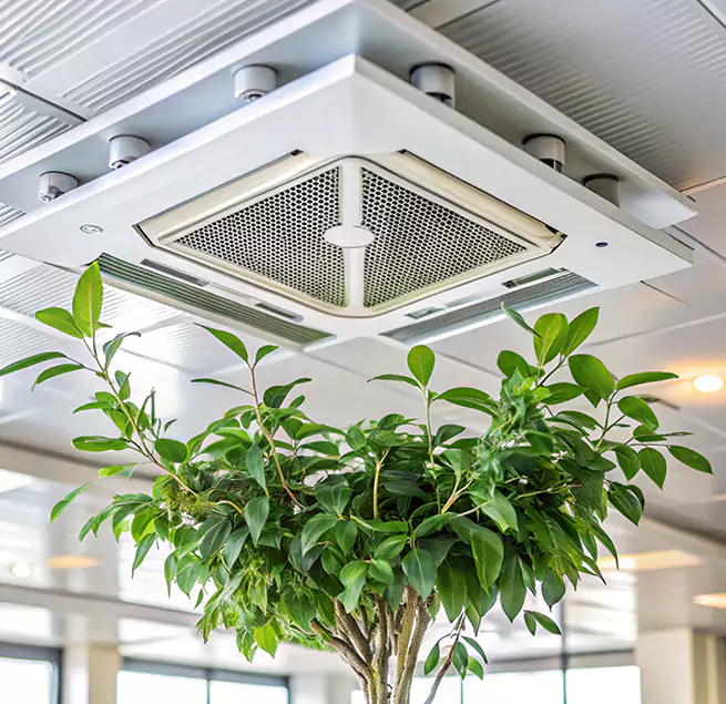 Why Homeowners & Businesses Trust Us in Rosenberg, TX