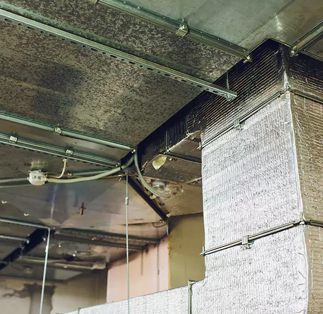 Why Homeowners & Businesses Trust Us in Rosenberg, TX?